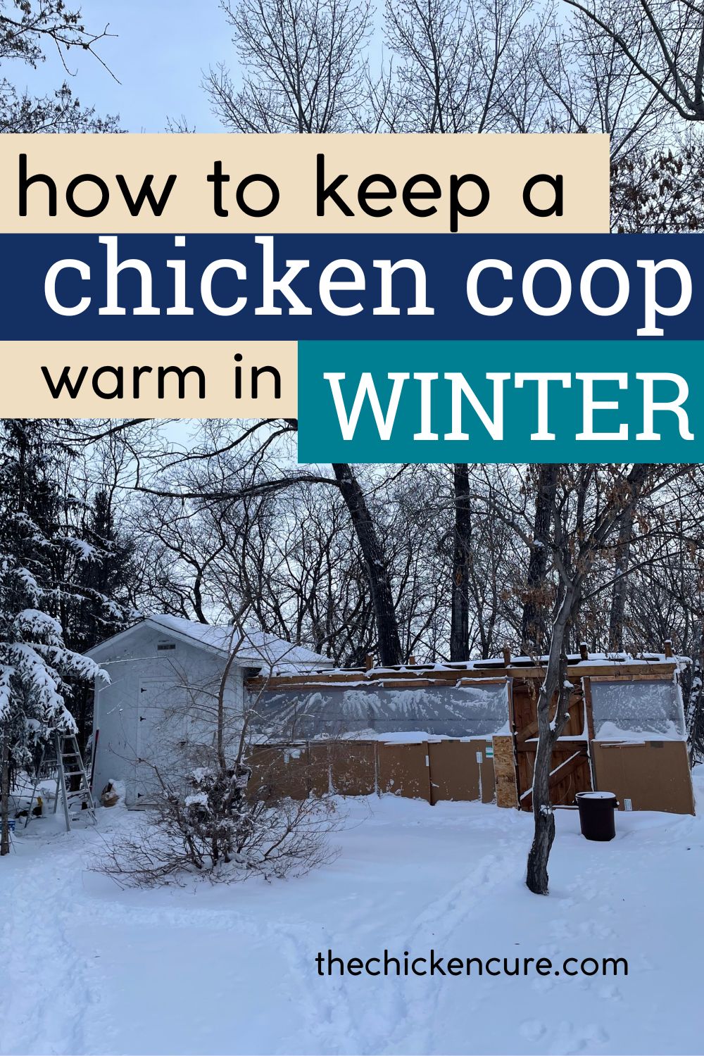 How to Keep Your Coop Warm in Extremely Cold Temperatures The Chicken